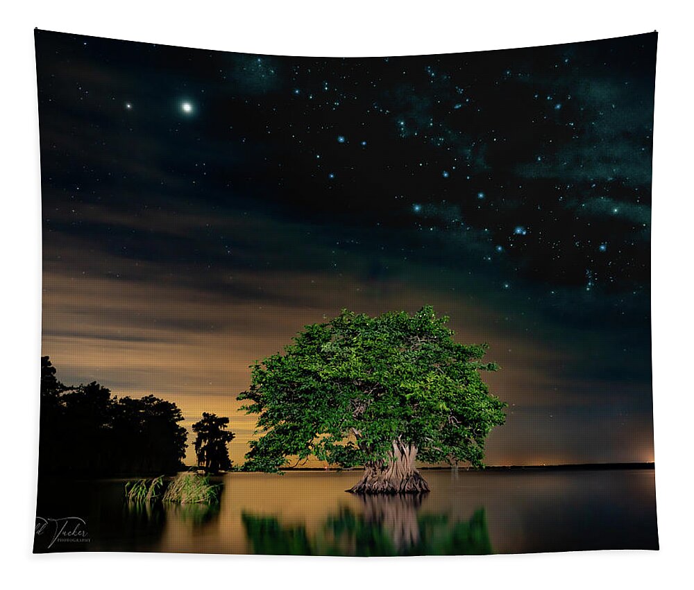 Astro Tapestry featuring the photograph Mysterious by Todd Tucker