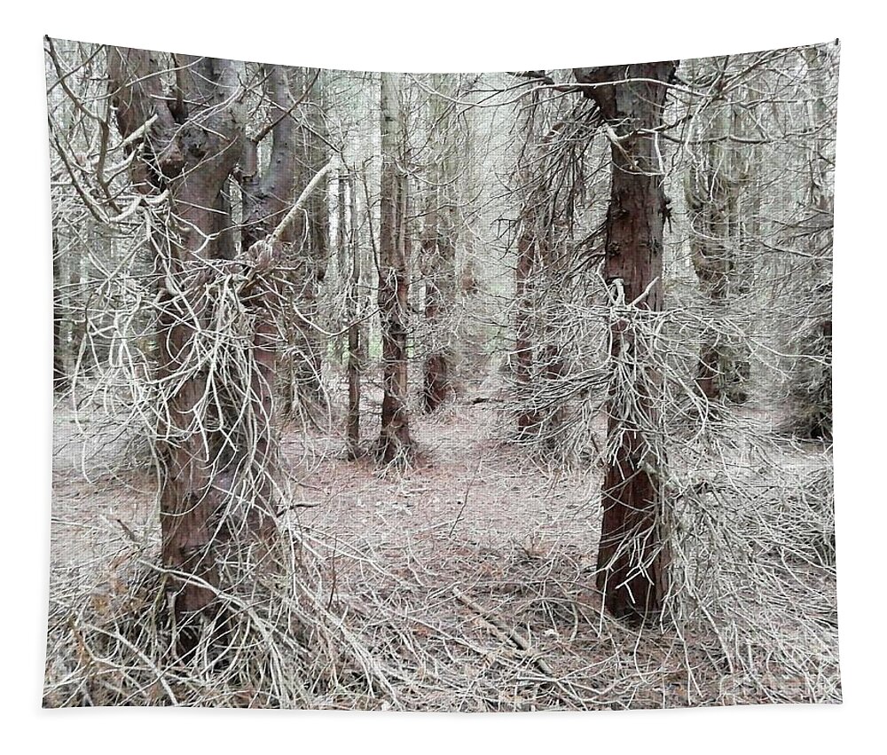 Woods Tapestry featuring the photograph Mysterious Woodland by Alexandra Vusir