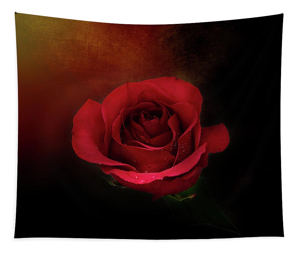 Mystic Rustic Red Rose Tapestry featuring the photograph Mystic Rustic Red Rose by Gwen Gibson