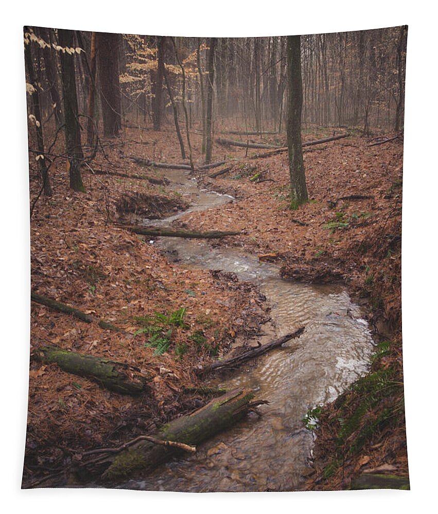 Fog Tapestry featuring the photograph Mystical Forest by Grant Twiss