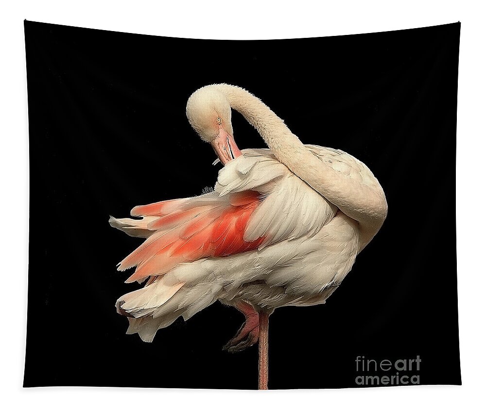 Flamingo Posing Ballerina Gentle Delicate Red Black Flexible Long Neck Curved White Pink Animal Big Elegant Elegance Single Alone Beauty Handsome Expressionistic Figure Character Expressive Charming Aesthetic Singular Shaped Modelling Posture Bird Natural History Powerful Beautiful Attractive Creative Stylish Striking Amazing Solo Fantastic Fabulous Proud Flexible Beak Vivid Contrast Sentimental Solitary Lonely Lonesome Loner Style Shy Hidden Feathers Standing One Leg Pretty Delightful Shy Wing Tapestry featuring the photograph Beautiful Flamingo Posing On One Leg Like A Ballerina On Effective Black Background by Tatiana Bogracheva