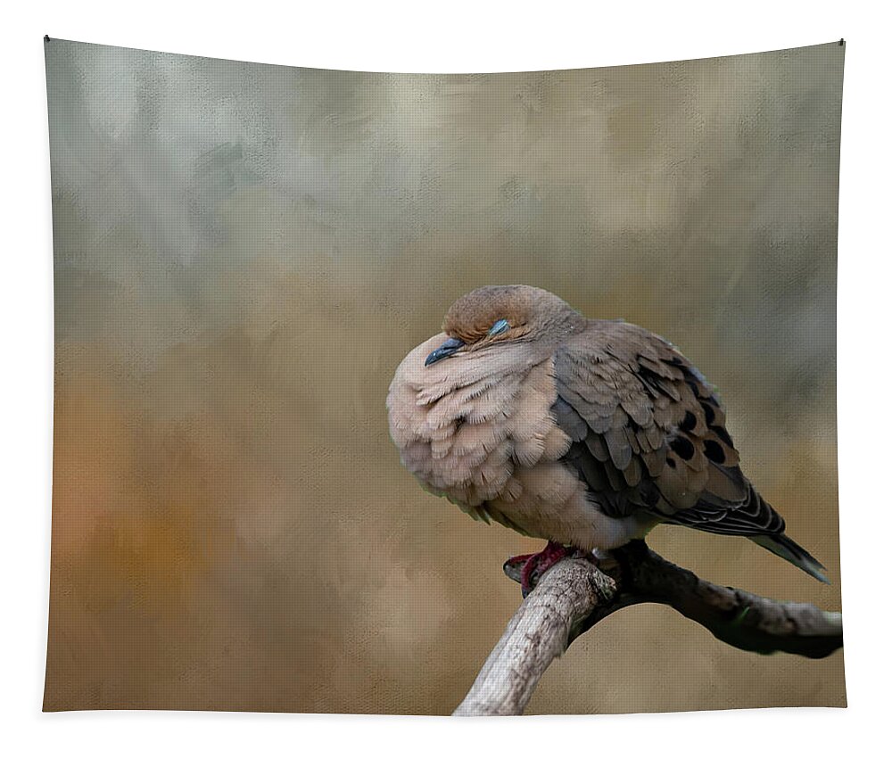 Mourning Dove Tapestry featuring the photograph Nap Time by Cathy Kovarik