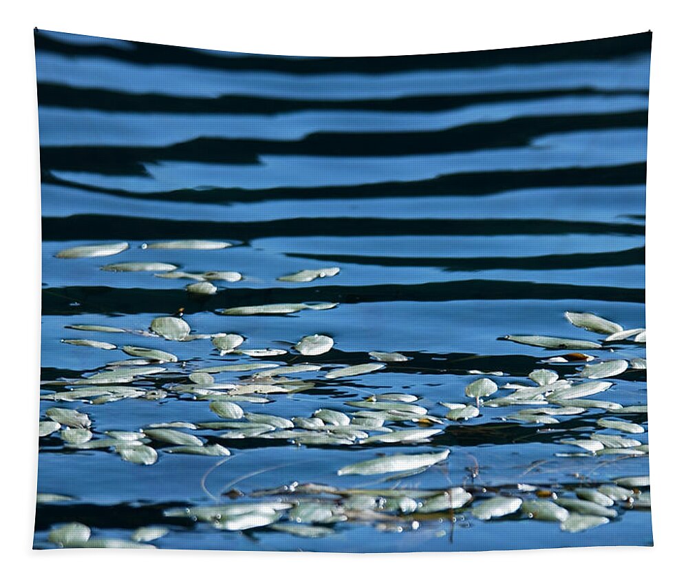 Pond Tapestry featuring the photograph Pond Petals and Shadows by Bonnie Colgan