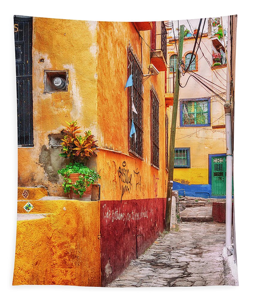 Guanajuato Tapestry featuring the photograph Narrow street in Guanajuato - paint by Tatiana Travelways