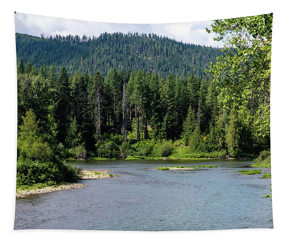 Nason Creek At Wenatchee River Tapestry featuring the photograph Nason Creek at Wenatchee River by Tom Cochran