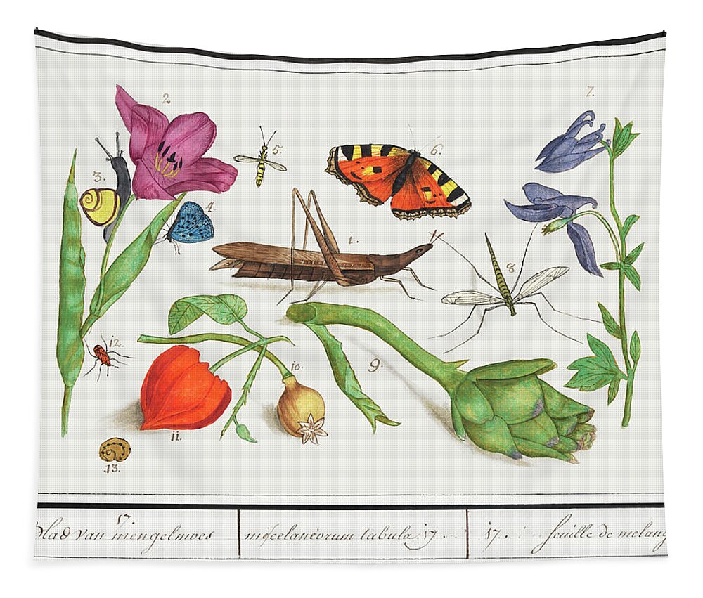 De Boodt Tapestry featuring the mixed media Natural History Ensemble, no. 17 by World Art Collective
