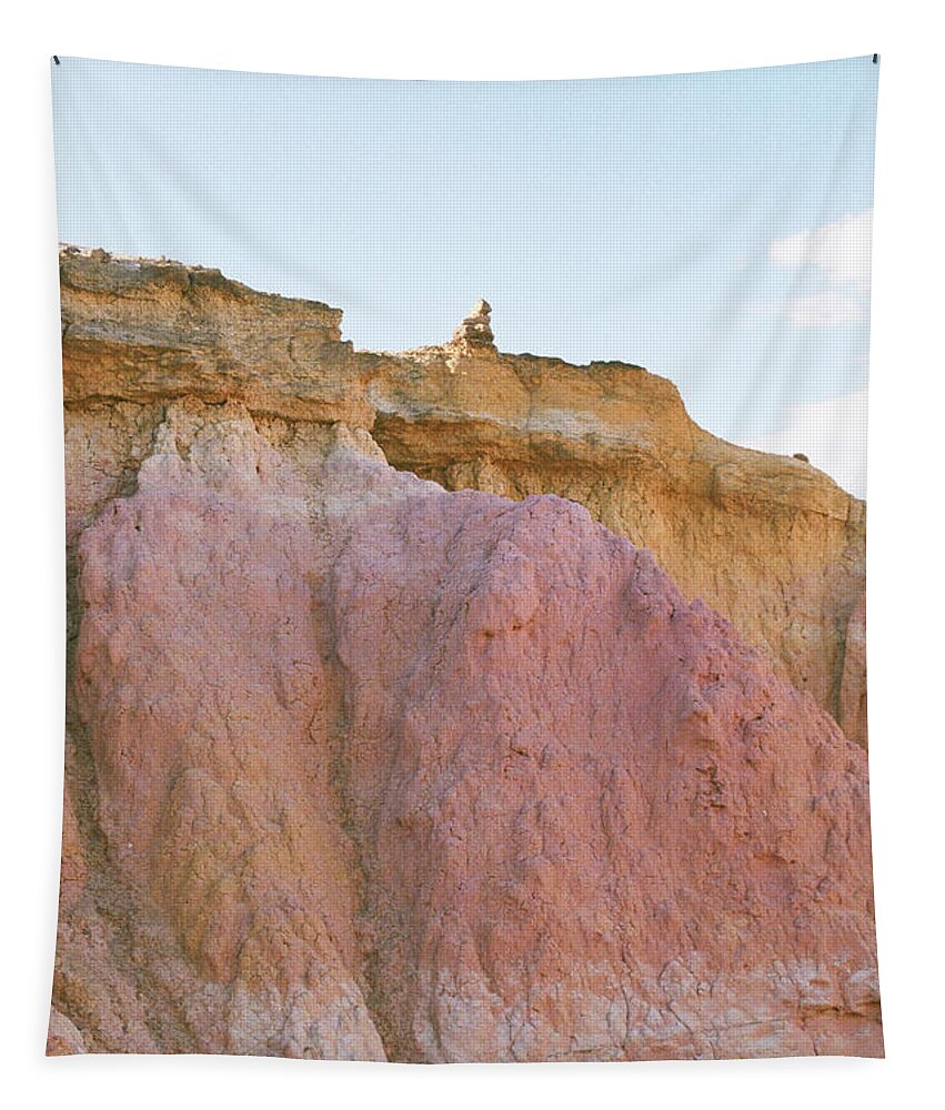 Colorado Tapestry featuring the photograph Naturally So by Ana V Ramirez