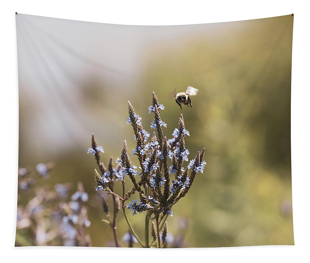 Bee Tapestry featuring the photograph Nature Photography - Bee at Sunrise 2 by Amelia Pearn