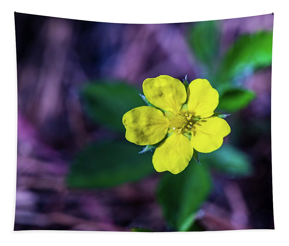 Landscapes Tapestry featuring the photograph Nature Photography - Floral 3 by Amelia Pearn