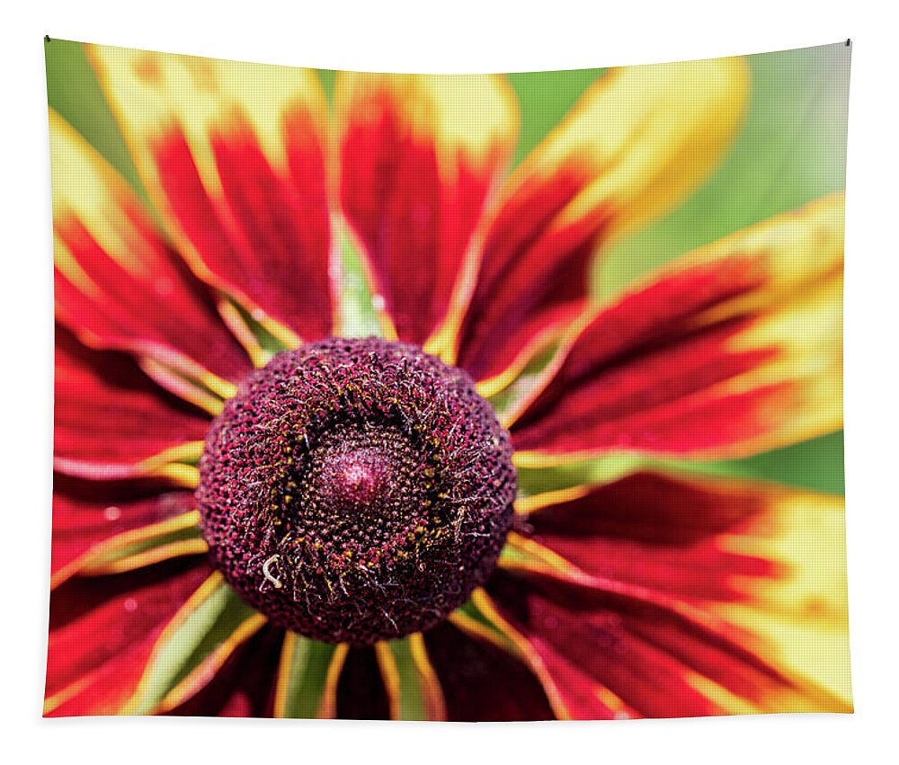 Yellow Flower Tapestry featuring the photograph Nature Photography Flower Macro by Amelia Pearn