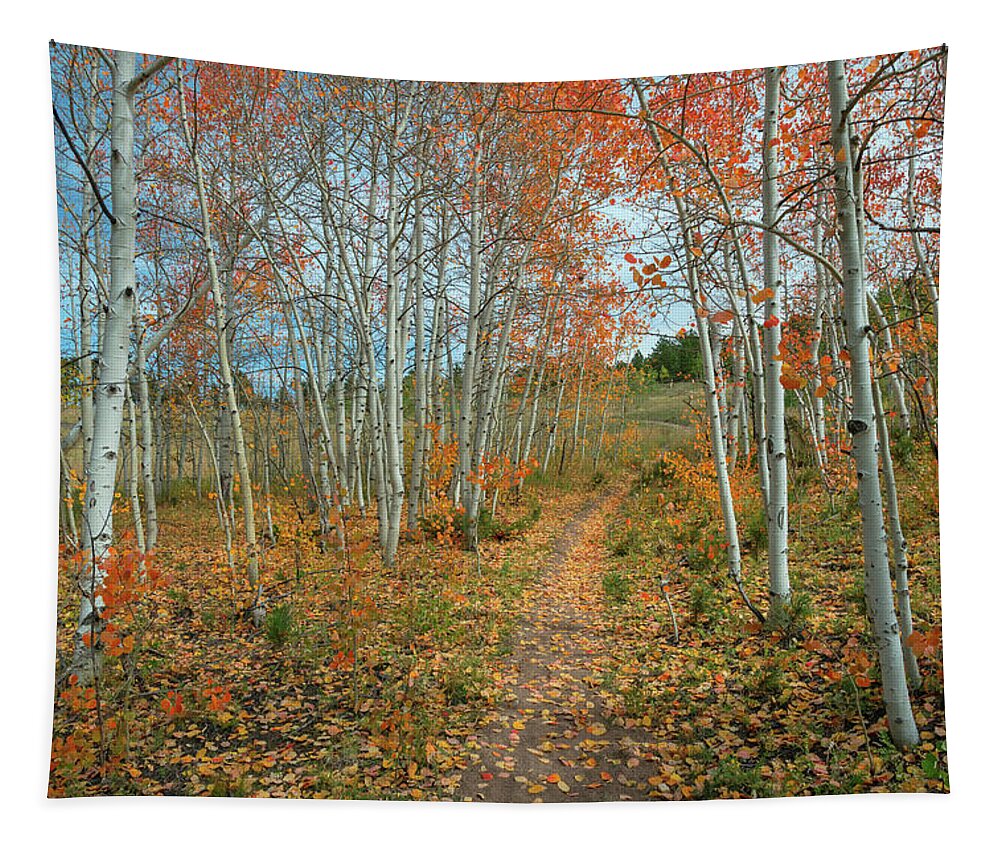 September Tapestry featuring the photograph Nature Trail by James BO Insogna