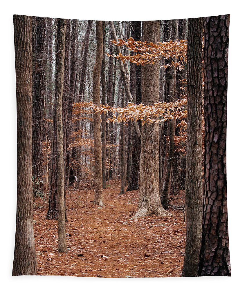 Nature Tapestry featuring the photograph Nature Trail by Rick Nelson