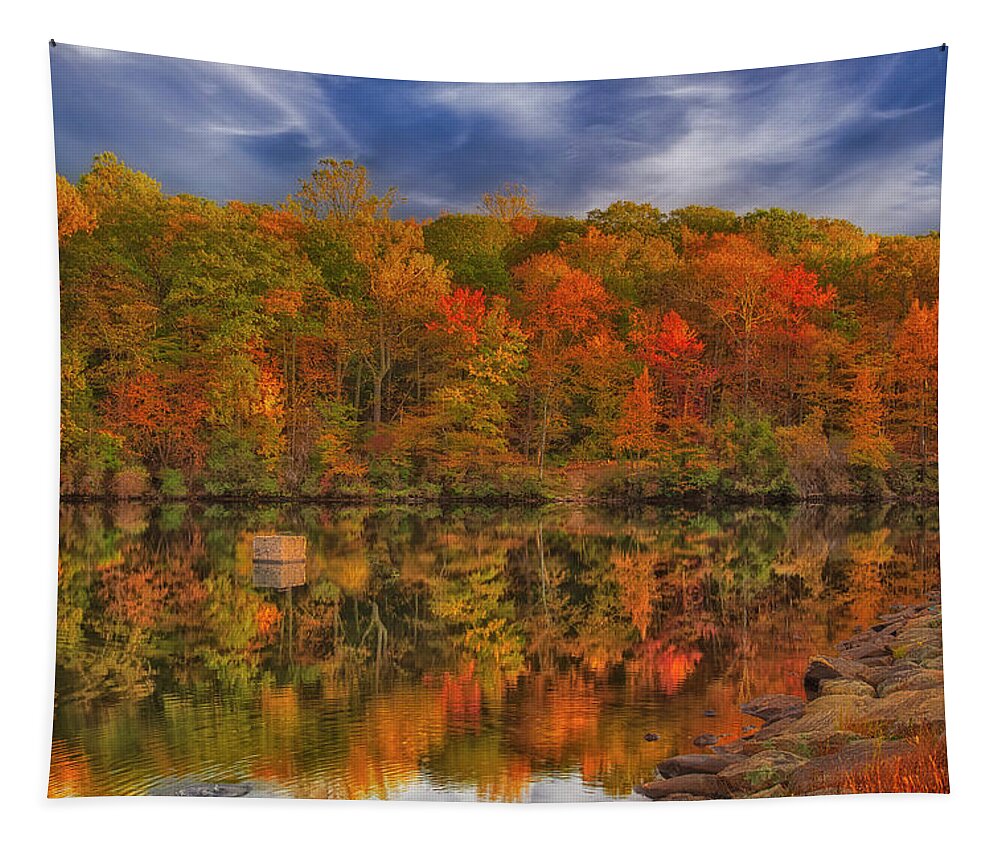 Harriman State Park Tapestry featuring the photograph Natures Color Palette NY by Susan Candelario