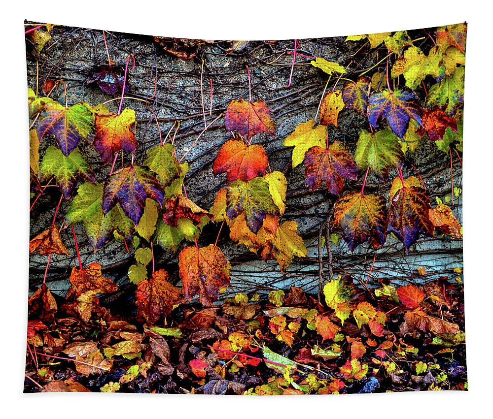 Fall Tapestry featuring the photograph Nature's Garland by Susie Loechler