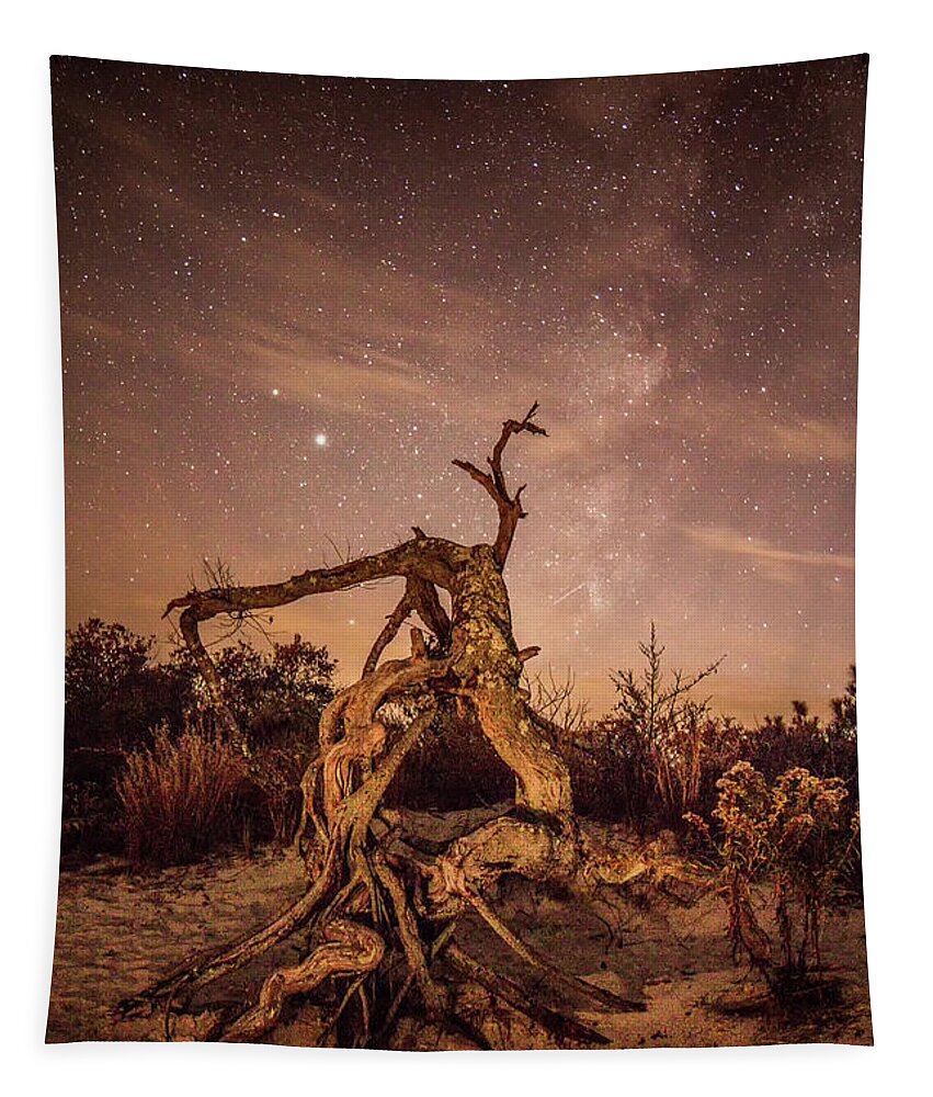 Assateague Island Tapestry featuring the photograph Nature's Sculpture on Assateague Island by Ken Fullerton