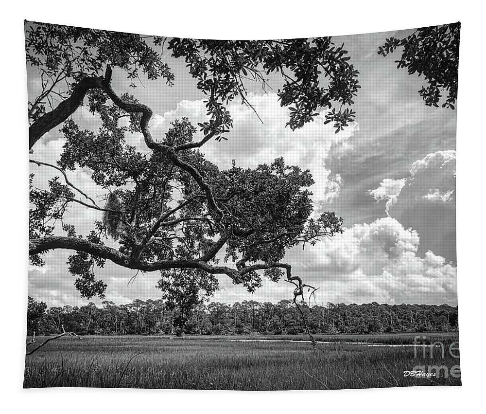 Nature Tapestry featuring the photograph Natures Serenity In Black and White by DB Hayes