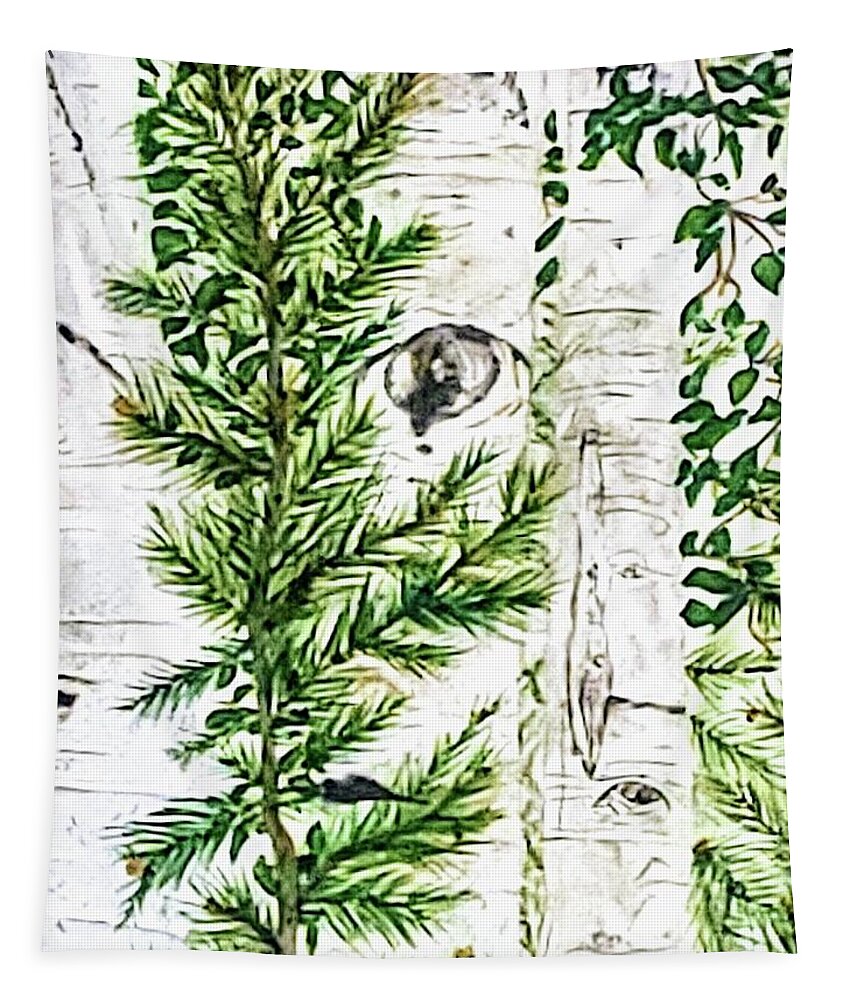 Aspens Pines Trees Aspen Trees. Pine Trees Tapestry featuring the painting Nature's Spy by Teri Merrill