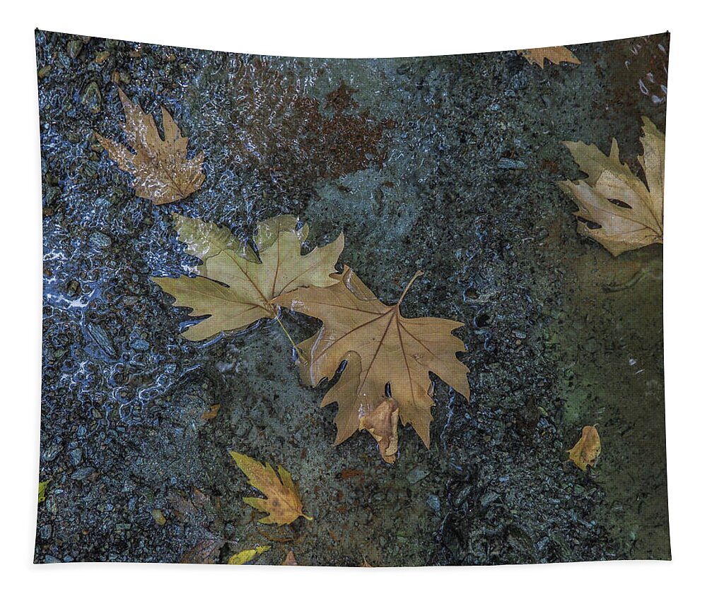 Nature Tapestry featuring the photograph Nature,ten by Eleni Kouri