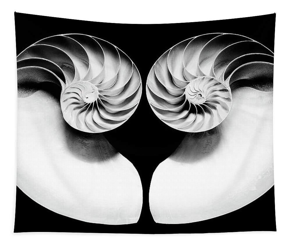 D6-s-7511-b2 Tapestry featuring the photograph Nautilus Shell Halves - bw by Paul W Faust - Impressions of Light