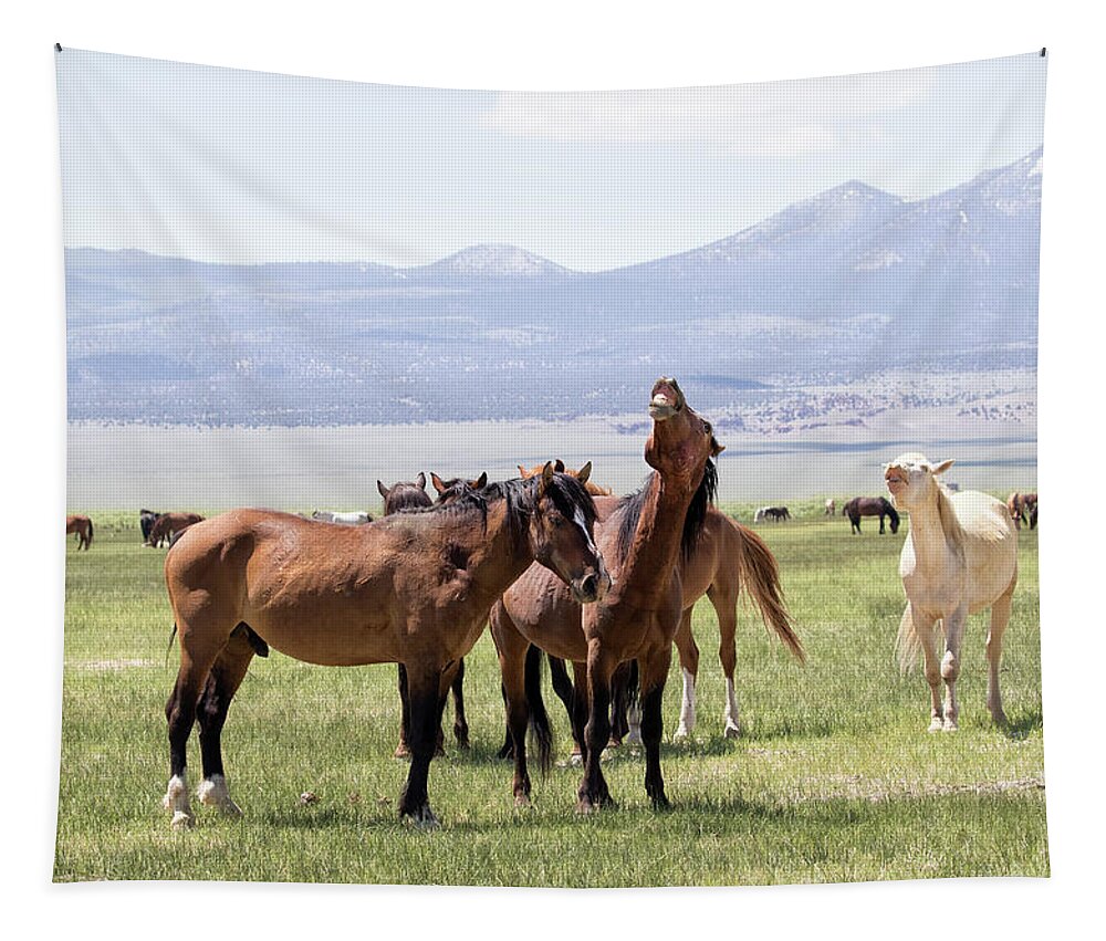 Eastern Sierra Tapestry featuring the photograph Neigh-Fest by Cheryl Strahl
