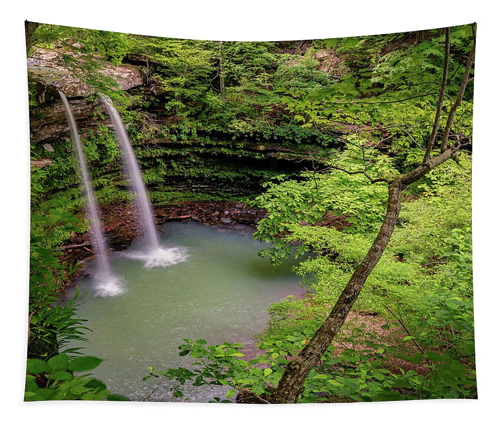 Arkansas Waterfalls Tapestry featuring the photograph Neil Compton Double Falls Landscape by Gregory Ballos