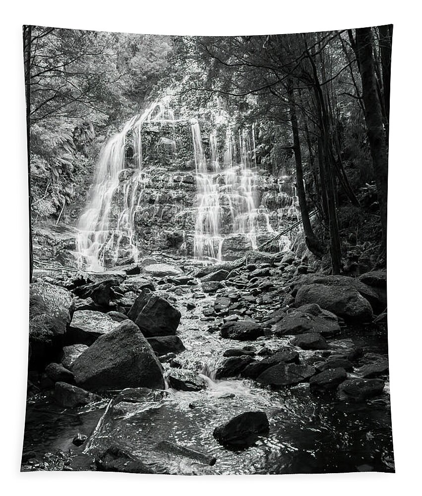 Tasmania Tapestry featuring the photograph Nelson Falls, Tasmania, Australia 2 by Elaine Teague