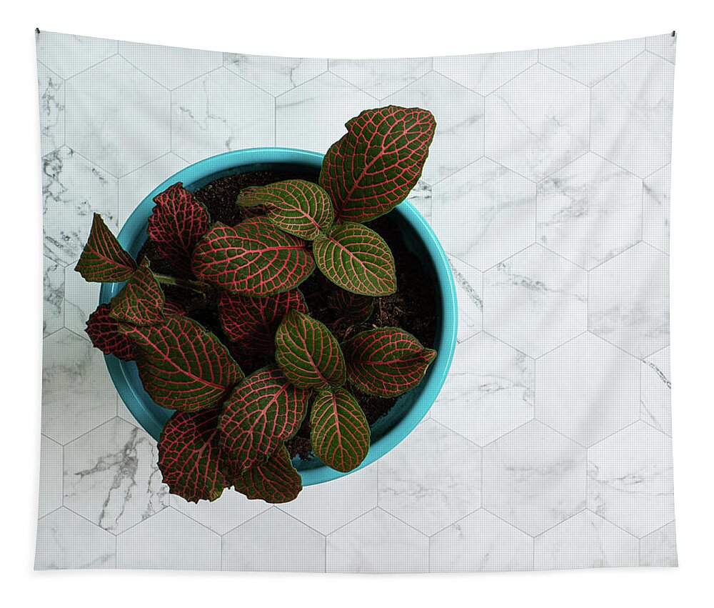 Photograph Tapestry featuring the photograph Nerve Plant by Jennifer Walsh