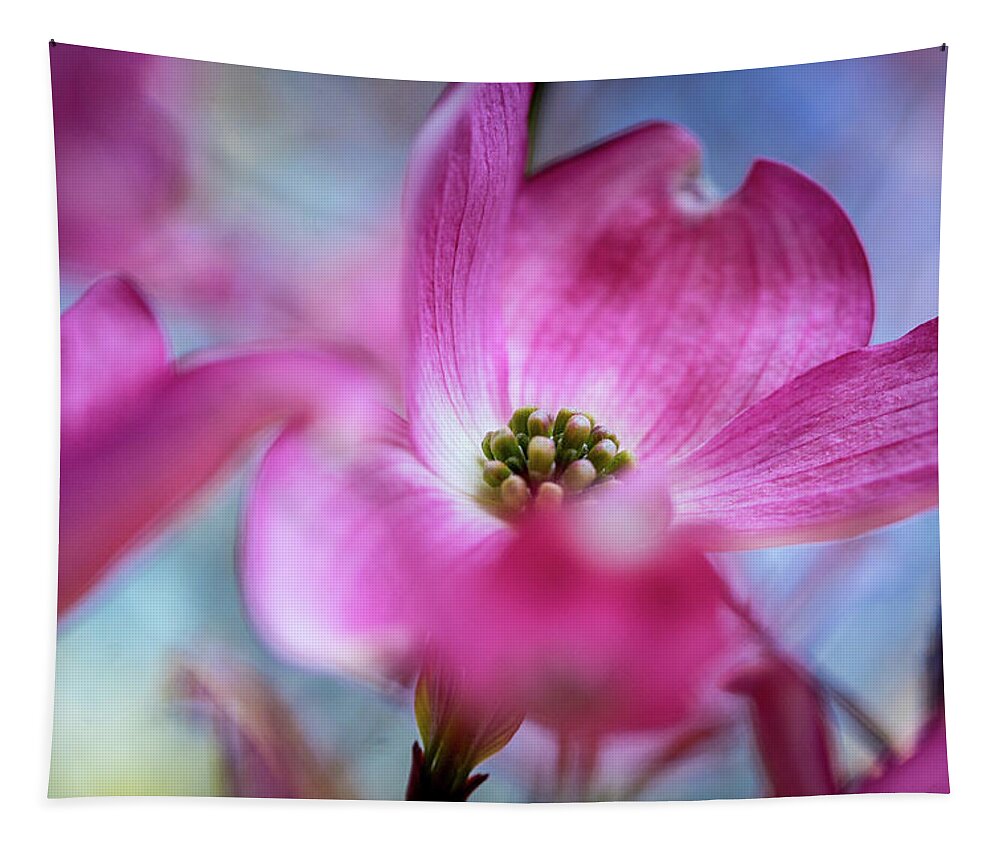 Dogwood Tree Tapestry featuring the photograph New Beginnings - Spring in Portland by Ada Weyland