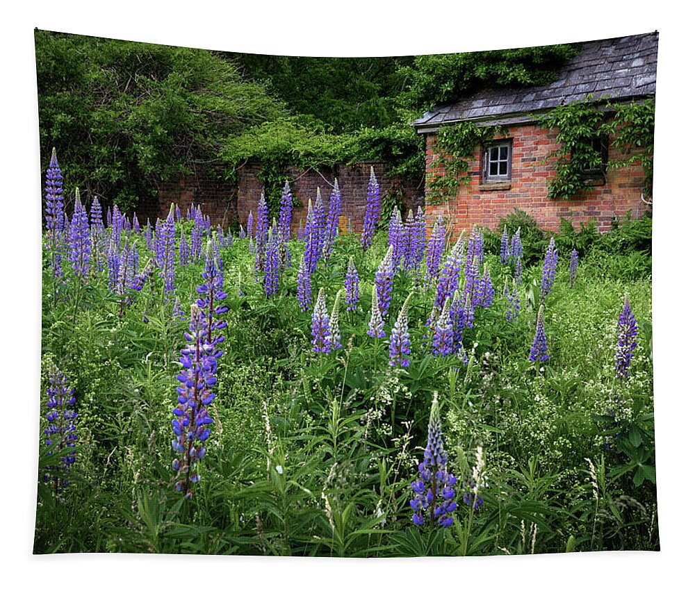 Lupine Tapestry featuring the photograph New England Lupine by Bill Wakeley