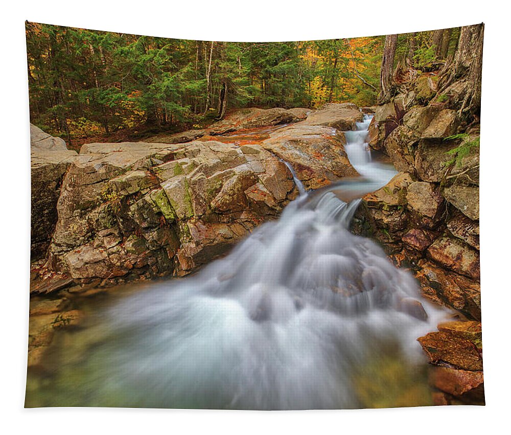 Franconia Notch State Park Tapestry featuring the photograph New Hampshire Waterfalls by Juergen Roth