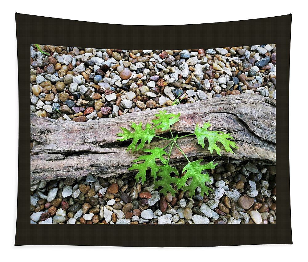 Green Tapestry featuring the photograph New Life 6 by C Winslow Shafer