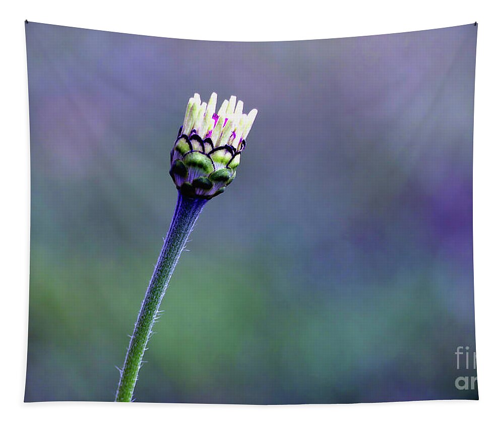 Zinnia Tapestry featuring the photograph New Life by Amy Dundon