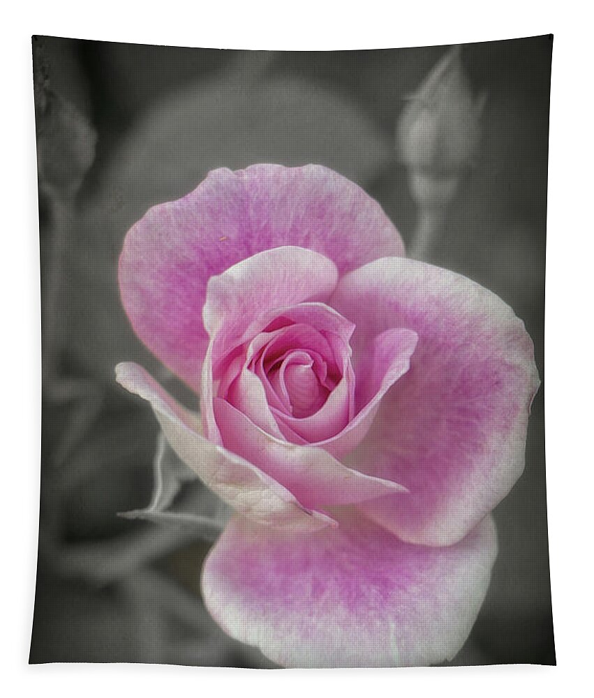 Roses Tapestry featuring the photograph New Rose Bushes by Elaine Malott