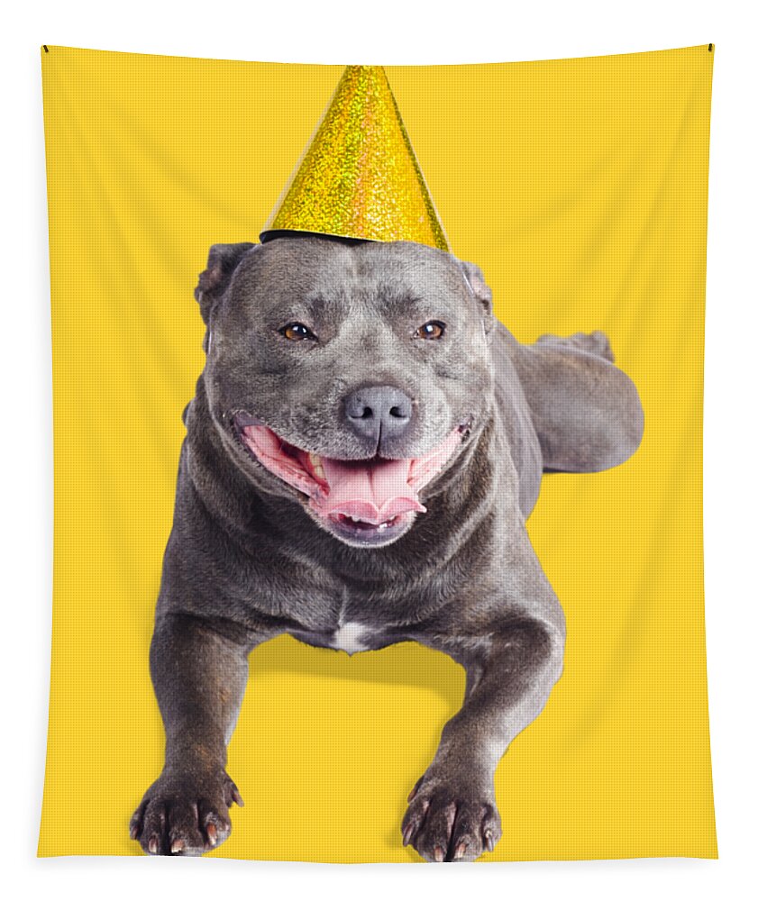 Party Tapestry featuring the photograph New year dog with party hat by Jorgo Photography