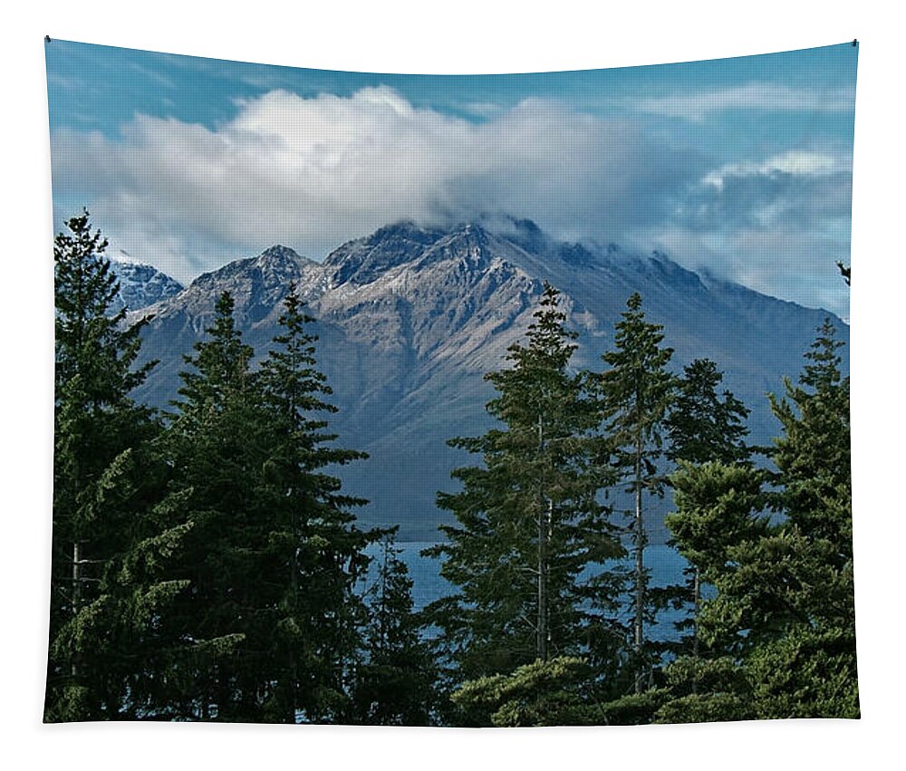 New Zealand Tapestry featuring the photograph New Zealand Mountain View by Joe Bonita