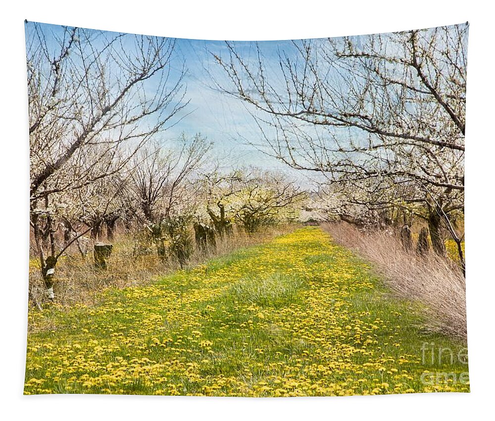 Blossoms Tapestry featuring the photograph Niagara's Blossom Trail - Wabi Sabi by Marilyn Cornwell