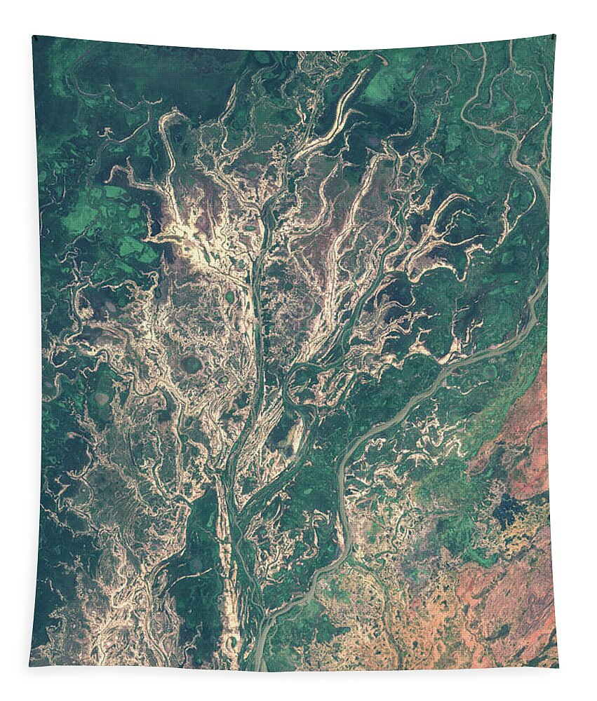 Satellite Image Tapestry featuring the digital art Niger river inland delta in Mali by Christian Pauschert