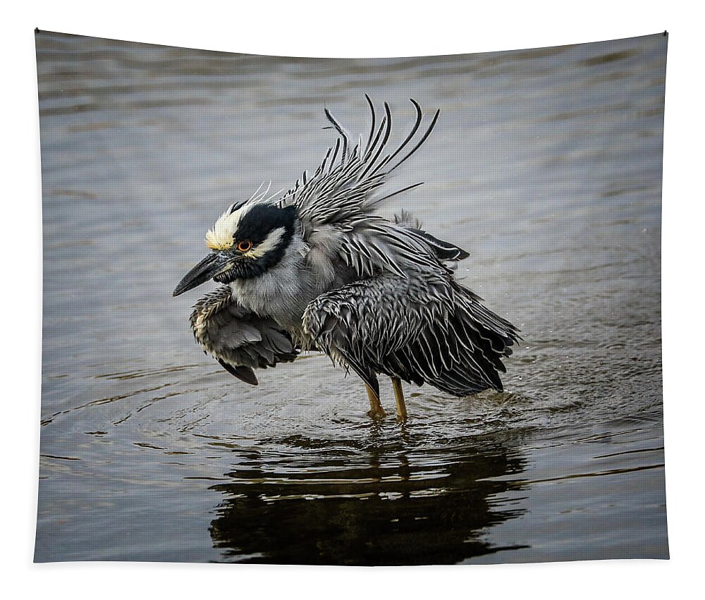 Night Heron Tapestry featuring the photograph Night Heron Bath by Jaki Miller