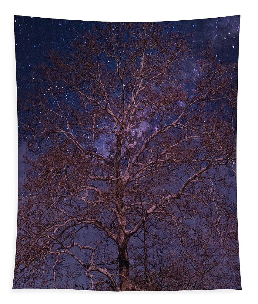 Tree Tapestry featuring the photograph Night Sky Tree by Russ Considine