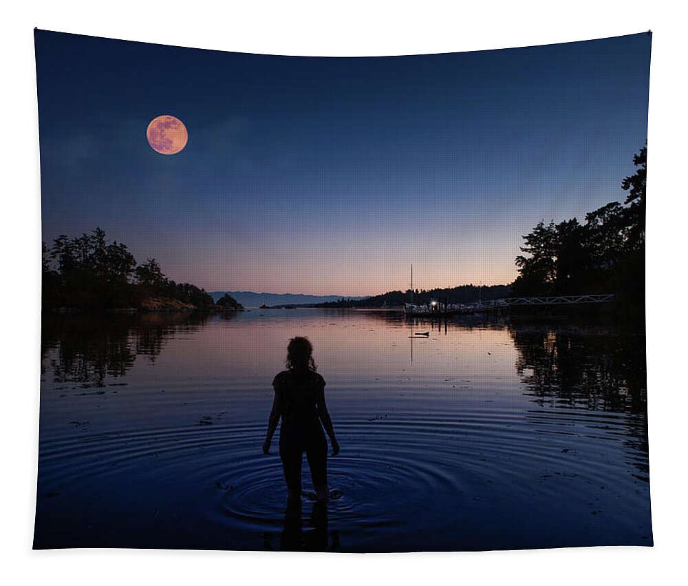 Silhouette Tapestry featuring the photograph Night Swim by Naomi Maya