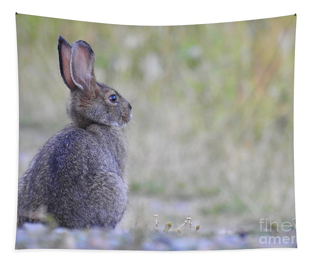 Rabbit Tapestry featuring the photograph Nipped by frost by Nicola Finch
