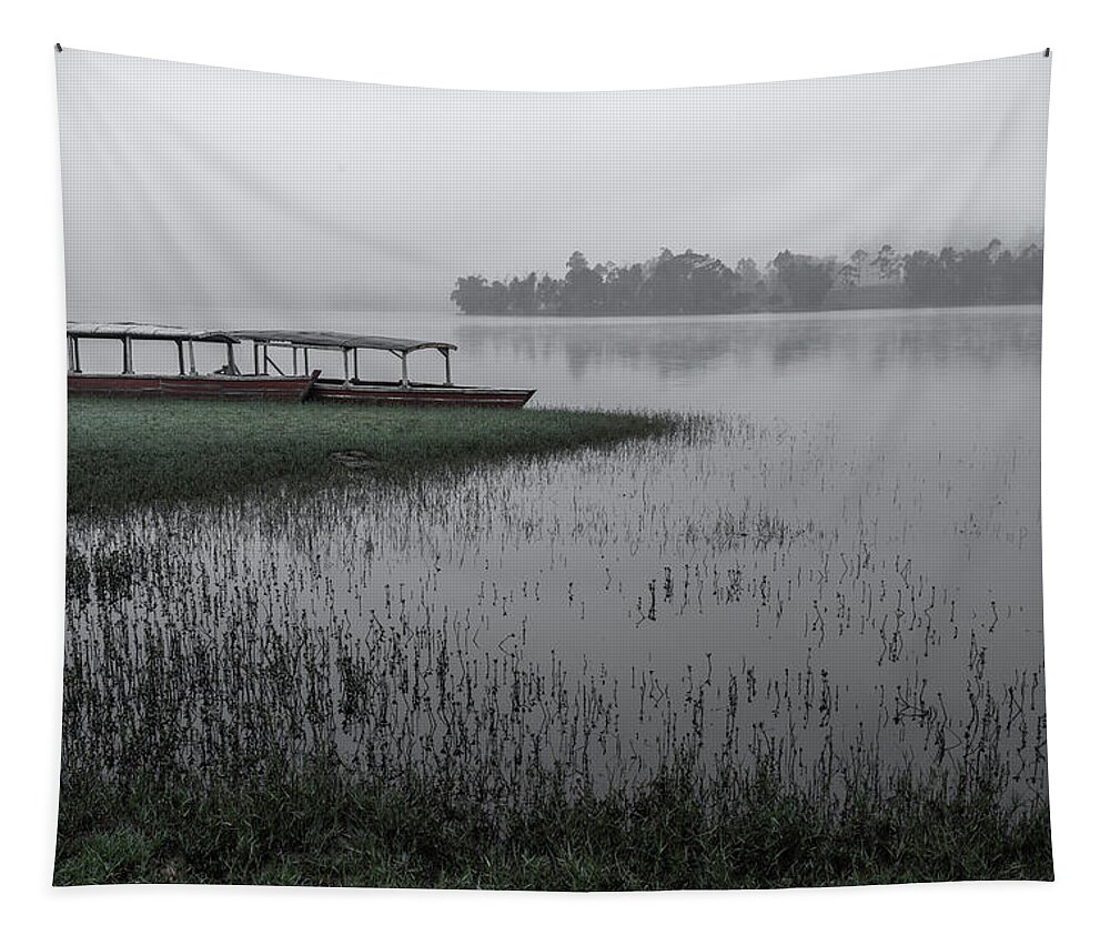 Boat Tapestry featuring the photograph No passengers today by Anges Van der Logt