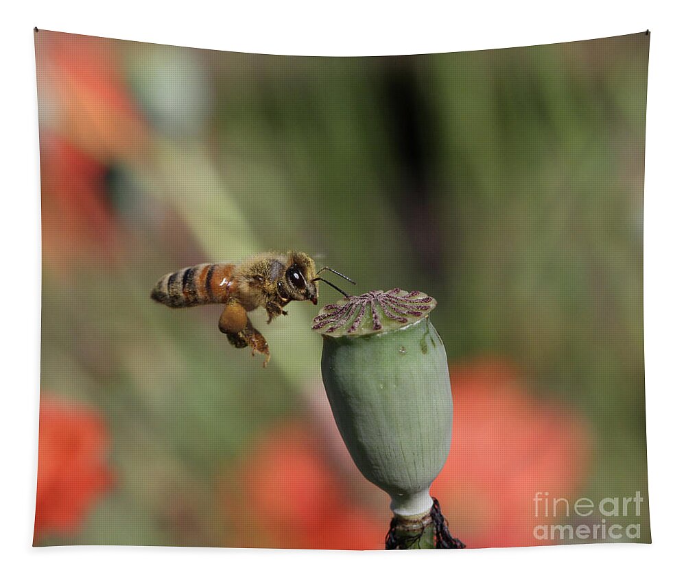 Honeybee Tapestry featuring the photograph No Pollen Here by Gary Wing