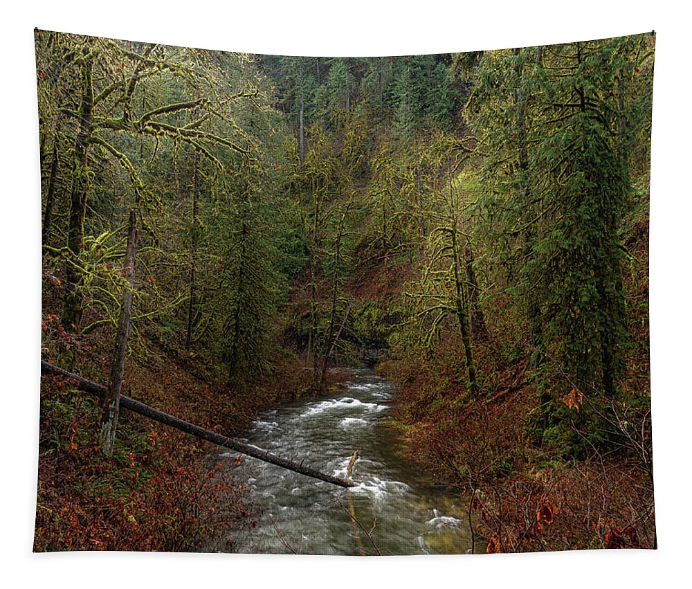 Silver Falls State Park Tapestry featuring the photograph North Silver Creek by Ulrich Burkhalter