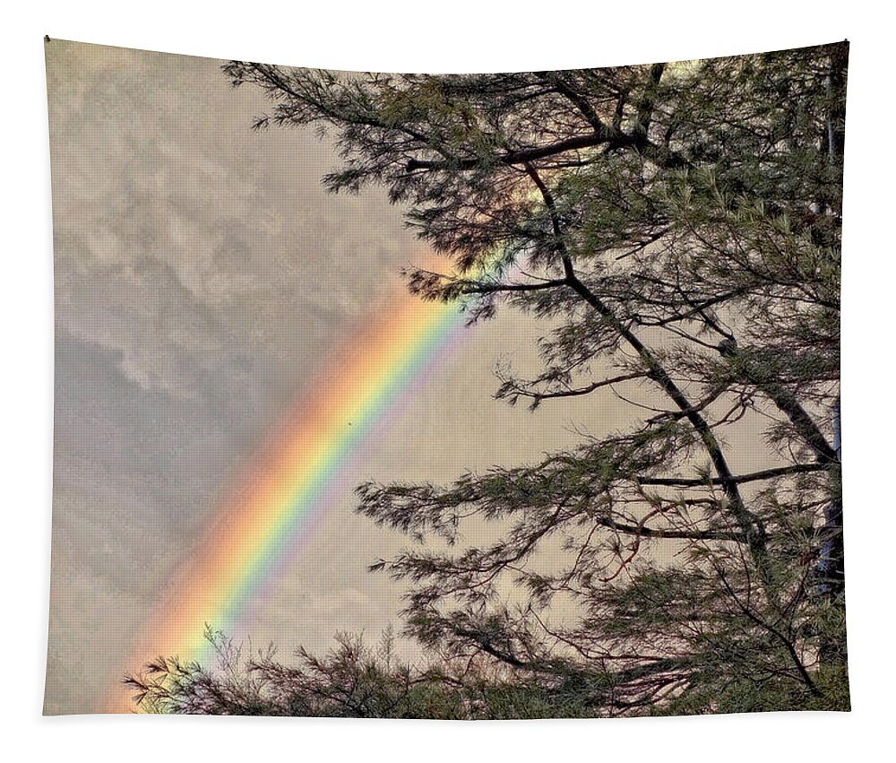 Rainbow Tapestry featuring the photograph Northern Forest Rainbow by Russ Considine