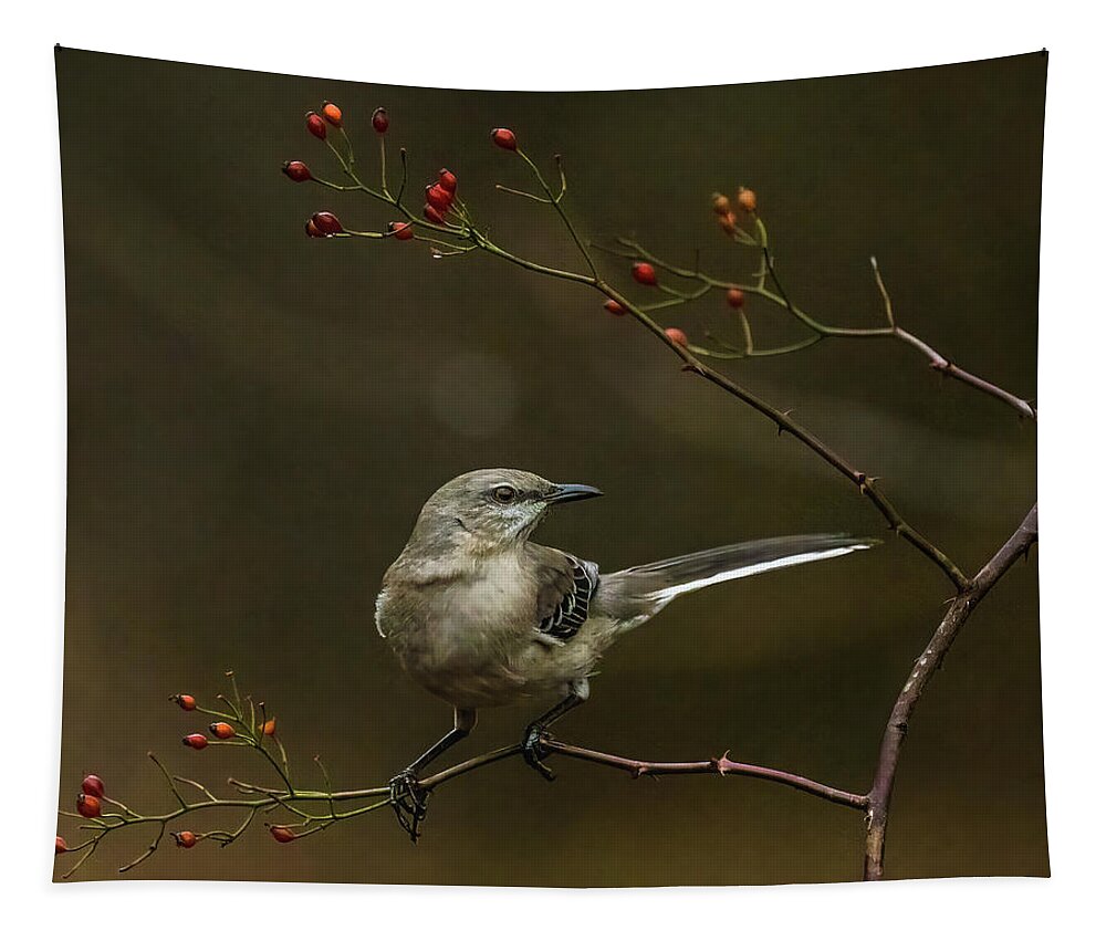 Northern Mockingbird Tapestry featuring the photograph Northern Mockingbird by Alexander Image