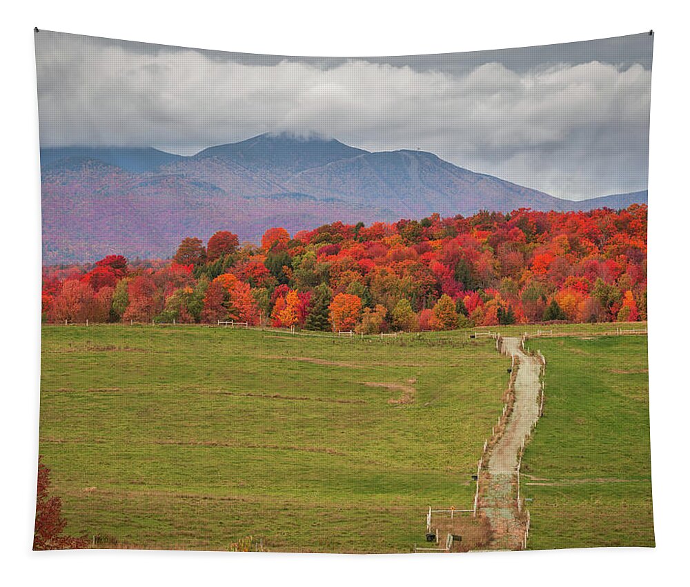 Fall Tapestry featuring the photograph Northern Vermont Fall by Tim Kirchoff