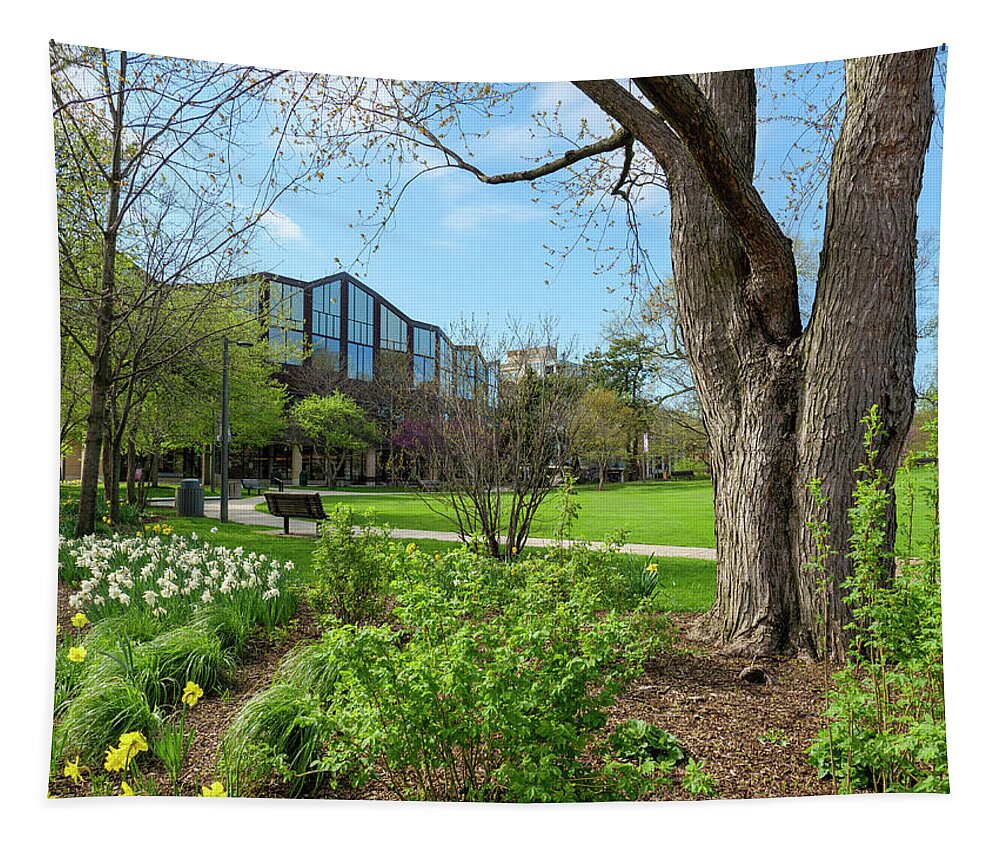 Chicagoland Tapestry featuring the photograph Oak Park Library and Scoville Park 1 by Todd Bannor