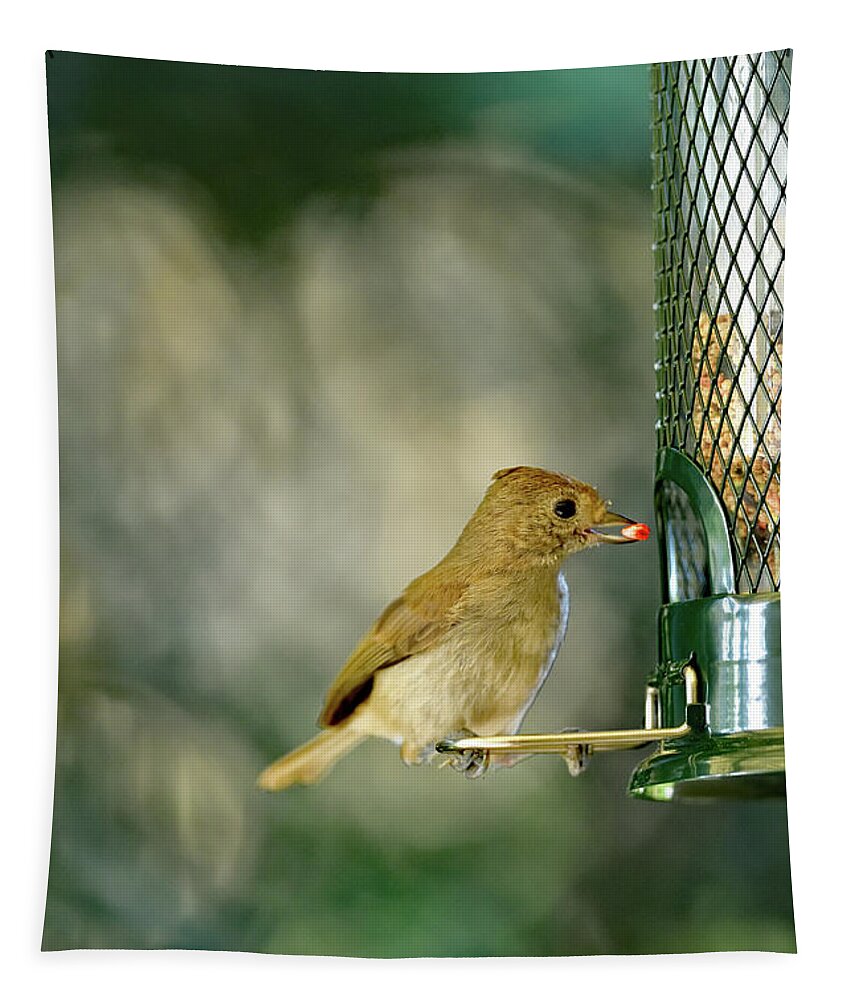 Oak Titmouse Tapestry featuring the photograph Oak Titmouse by Amazing Action Photo Video