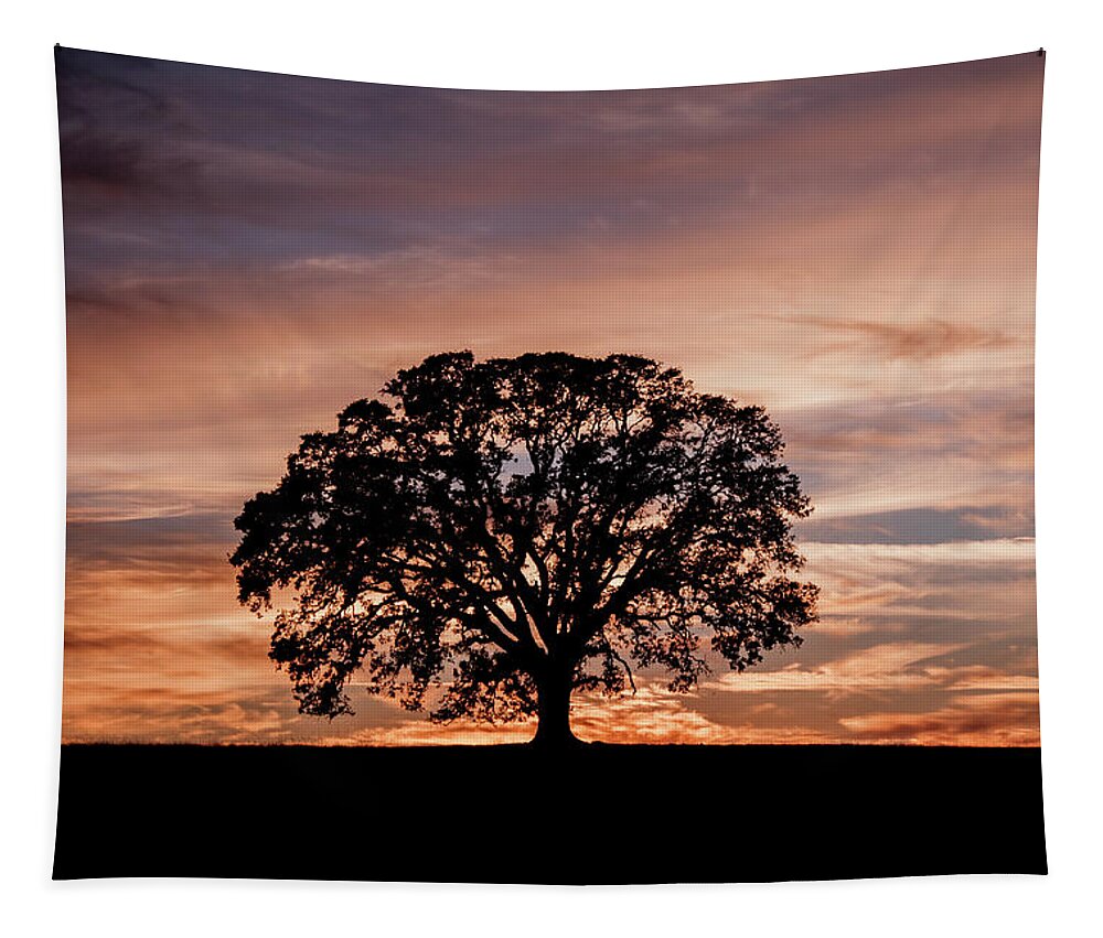Oak Tree Tapestry featuring the photograph Oak Tree at Sunset by Gary Geddes